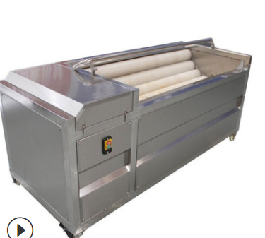 中药清洗机瓜果毛刷清洗脱皮机 土豆去皮清洗机 红薯清洗机图4