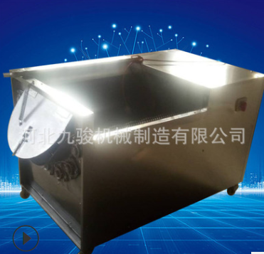 中药清洗机瓜果毛刷清洗脱皮机 土豆去皮清洗机 红薯清洗机图2