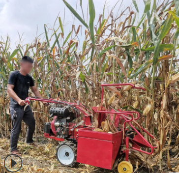 秸秆粉碎还田带扒皮功能收割机 柴油15马力玉米收割机 割玉米机器
