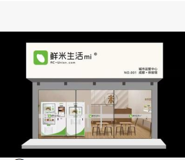 自动辗米机 鲜米机 现磨鲜米机 共享打米机 智能脱稻谷机 售米机图4