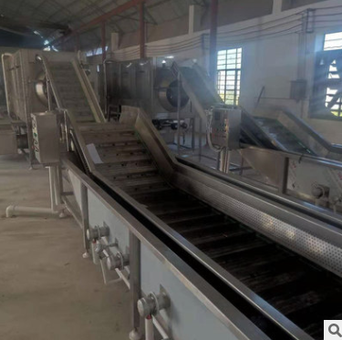 厂家销售薯条清洗机 净菜加工果蔬清洗沥水机 薯片涡流洗菜机图2