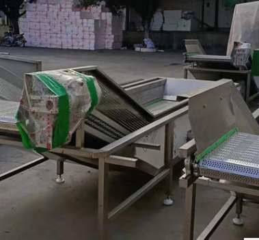 定做气泡清洗机 不锈钢气泡蔬菜清洗机 多功能果蔬清洗机图4