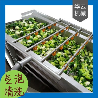 全自动气泡式果蔬清洗机 高压喷淋清洗机定制 清洗干净 效率高图2