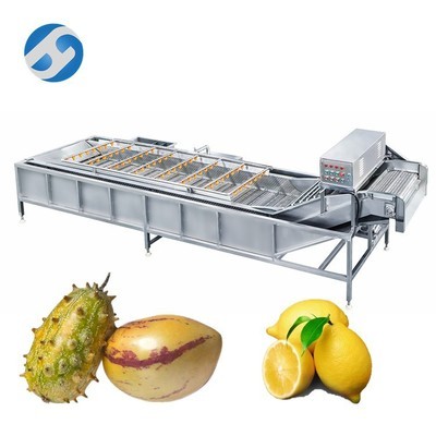 全自动气泡式果蔬清洗机 高压喷淋清洗机定制 清洗干净 效率高图4