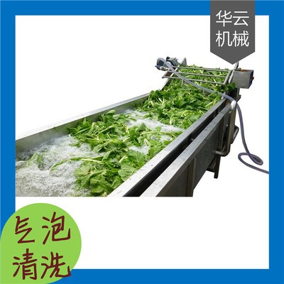 全自动气泡式果蔬清洗机 高压喷淋清洗机定制 清洗干净 效率高图3