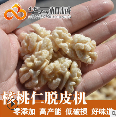 核桃仁去皮机 核桃仁烘干加工流水线 现货销售图3