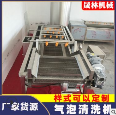 秋葵清洗机 土豆根茎类去泥清洗设备高压喷淋全自动气泡清洗机图2