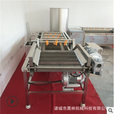 秋葵清洗机 土豆根茎类去泥清洗设备高压喷淋全自动气泡清洗机图3