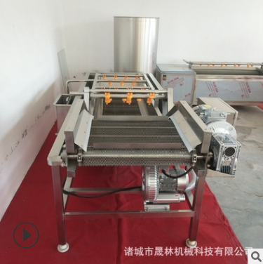 秋葵清洗机 土豆根茎类去泥清洗设备高压喷淋全自动气泡清洗机图4