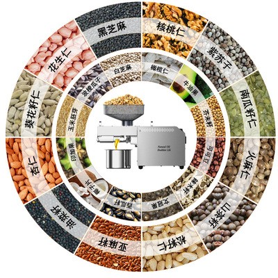 新款跨境批发榨油机螺旋小型智能带数显温控食用油加工设备图3