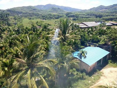 深圳厂家翔宇星烟雾植保无人机XYX-806A果树弥雾机弥雾机烟雾机图5