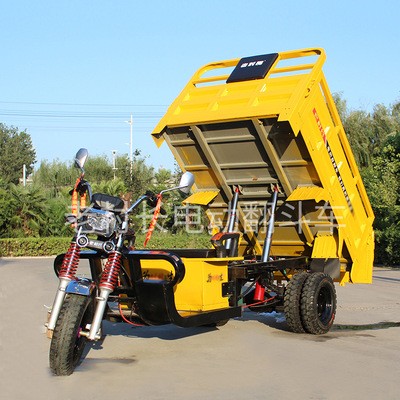 老村长电动自卸翻斗三轮车拉货载货电瓶车家用代步农用电动三轮车图3