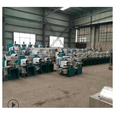 全自动螺旋花生榨油机 菜籽葵花籽榨油机 创业多功能榨油机