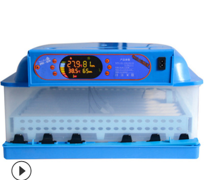 伊科贝特孵化机全自动家鸡鸭鹅72枚小型孵蛋器智能控温可定制110V图5