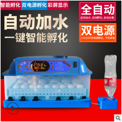 伊科贝特孵化机全自动家鸡鸭鹅72枚小型孵蛋器智能控温可定制110V