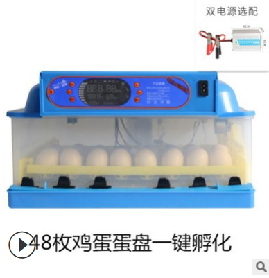 伊科贝特孵化机全自动家鸡鸭鹅72枚小型孵蛋器智能控温可定制110V图4