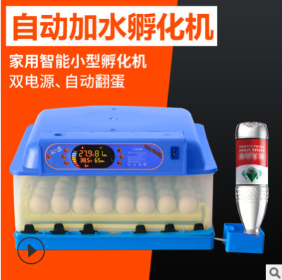伊科贝特孵化机全自动家鸡鸭鹅72枚小型孵蛋器智能控温可定制110V图2