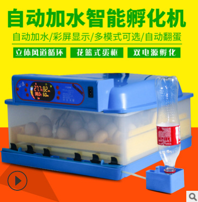 伊科贝特孵化机全自动家鸡鸭鹅72枚小型孵蛋器智能控温可定制110V图3