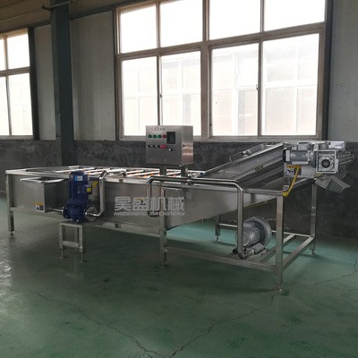 商用大型蔬菜水果清洗机 脱水芝麻清洗机 苦苣洗菜机 苦菊清洗机图5