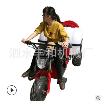 自走式双动力风送打药机 园林苗木打药机 果园手推喷雾机批发图5