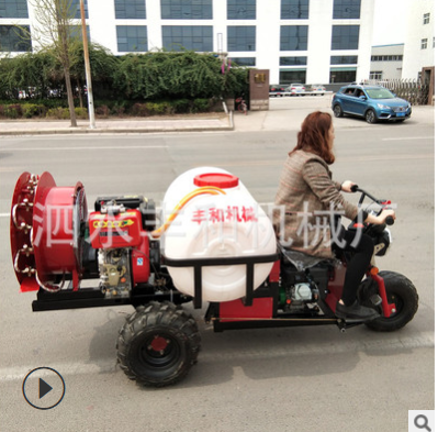 自走式双动力风送打药机 园林苗木打药机 果园手推喷雾机批发图2