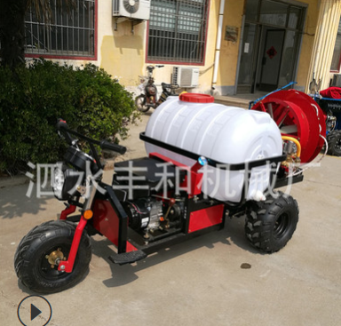 自走式双动力风送打药机 园林苗木打药机 果园手推喷雾机批发图4