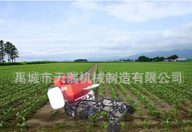 土豆播种机 起垄覆膜 単垄双苗 垄距600mm-900mm可调图5