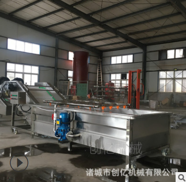 蔬菜浸泡式清洗风干线 不锈钢全自动洗菜机 果蔬气泡清洗机厂家图3