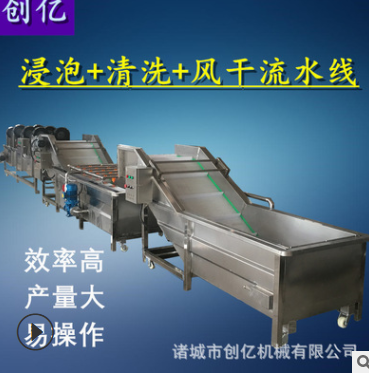 蔬菜浸泡式清洗风干线 不锈钢全自动洗菜机 果蔬气泡清洗机厂家