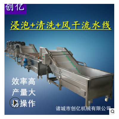 蔬菜浸泡式清洗风干线 不锈钢全自动洗菜机 果蔬气泡清洗机厂家