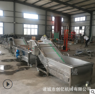 蔬菜浸泡式清洗风干线 不锈钢全自动洗菜机 果蔬气泡清洗机厂家图2