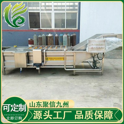 全自动气泡清洗机 商用大型果蔬洗菜机厂家 多功能臭氧蔬菜清洗机图3