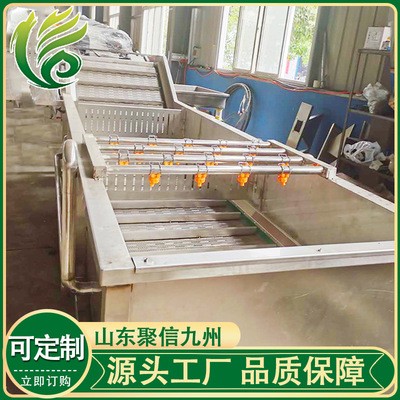 全自动气泡清洗机 商用大型果蔬洗菜机厂家 多功能臭氧蔬菜清洗机图2