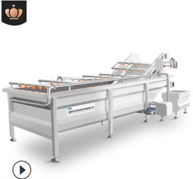 现货果蔬气泡清洗机 全自动净菜设备蔬菜清洗机 学校食堂洗菜机图5
