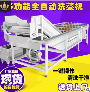 现货果蔬气泡清洗机 全自动净菜设备蔬菜清洗机 学校食堂洗菜机图4
