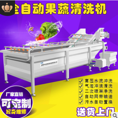 现货果蔬气泡清洗机 全自动净菜设备蔬菜清洗机 学校食堂洗菜机