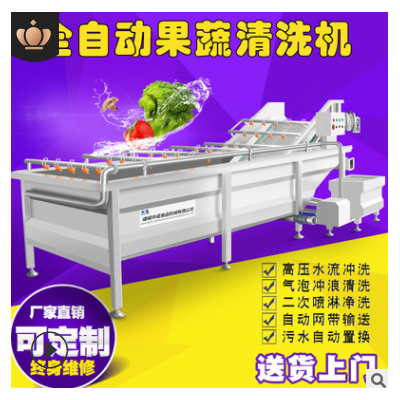 现货果蔬气泡清洗机 全自动净菜设备蔬菜清洗机 学校食堂洗菜机