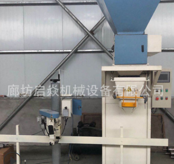 销售颗粒灌装机 鱼饵狗粮饲料自动称重包装机颗粒片状定量包装称图3