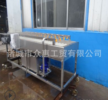 苹果毛刷清洗机 高压喷淋橘子水果清洗机 循环水柠檬清洗机图2