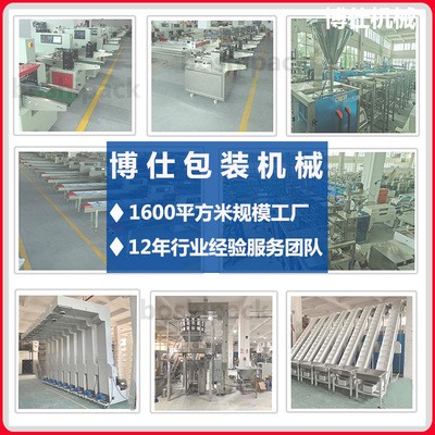 粉末袋装机 全自动称重计量粉末分装机 粉料灌装机图4