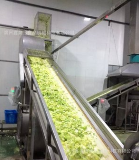 不锈钢中央厨房蔬菜清洗线、洁净菜气泡清洗机图5