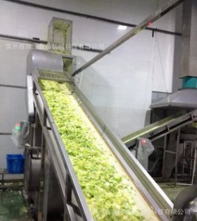 不锈钢果蔬速冻前处理线 中央厨房蔬菜清洗机图4