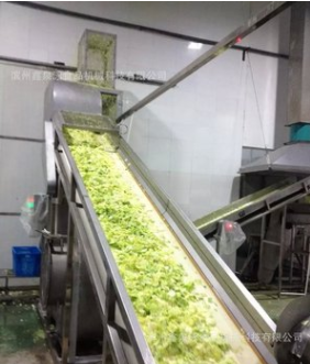 不锈钢果蔬速冻前处理线 中央厨房蔬菜清洗机图5