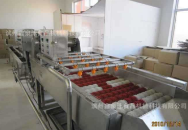 供应不锈钢红枣清洗机 红枣清洗生产线 厂价直销红枣选果机