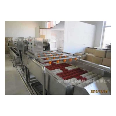 供应不锈钢红枣清洗机 红枣清洗生产线 厂价直销红枣选果机