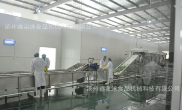 供应不锈钢红枣清洗机 红枣清洗生产线 厂价直销红枣选果机图2