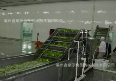 供应不锈钢红枣清洗机 红枣清洗生产线 厂价直销红枣选果机图3