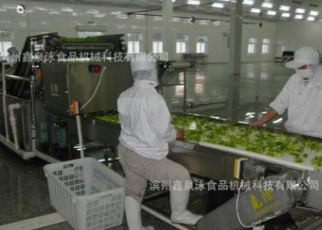 不锈钢汽泡清洗机 蔬菜清洗机 机械手清洗机 中央厨房洗菜机图5