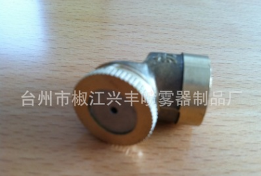 ptt-20喷雾器配件 电动喷雾器喷头 铜单喷头（小）图2