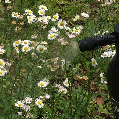 工厂批发2升喷壶自洁素专用4孔雾化黑珍珠喷水壶压力气压式喷雾器图3